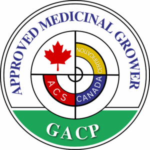 GACP Internal Audit